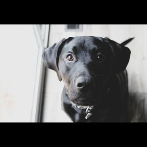 Meet your Posher, Travis